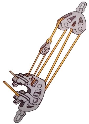Figura del quesito